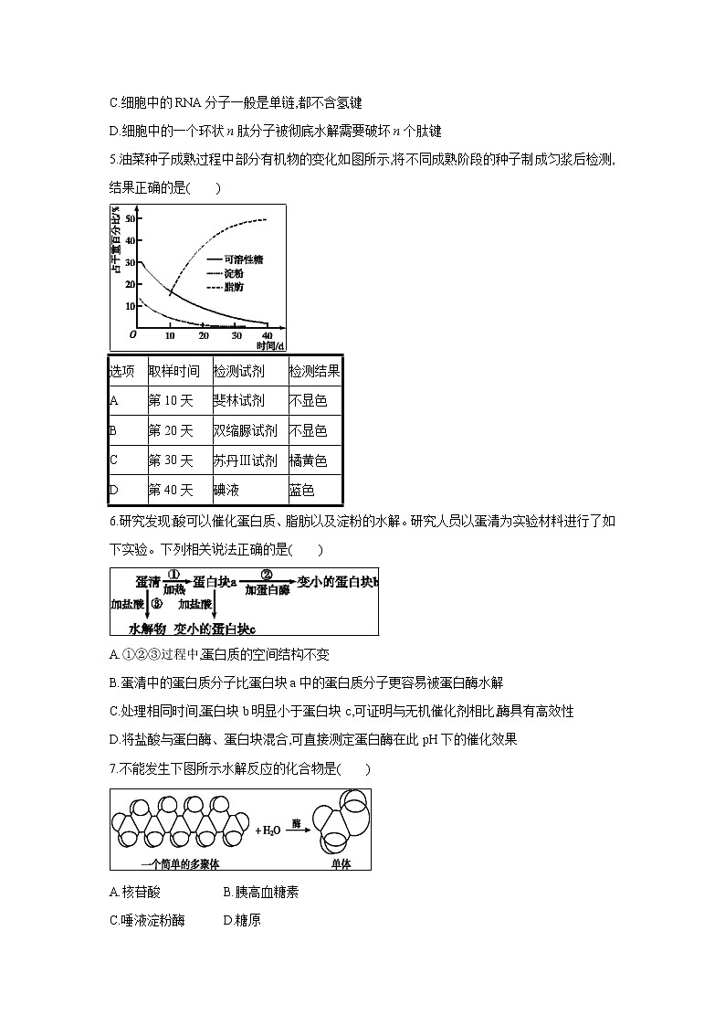 【生物】河北省邯郸市大名一中2018-2019学年高二下学期5月半月考试试卷02