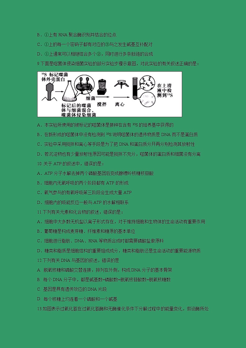 【生物】广东省蕉岭县蕉岭中学2018-2019学年高二下学期第二次质检试题03