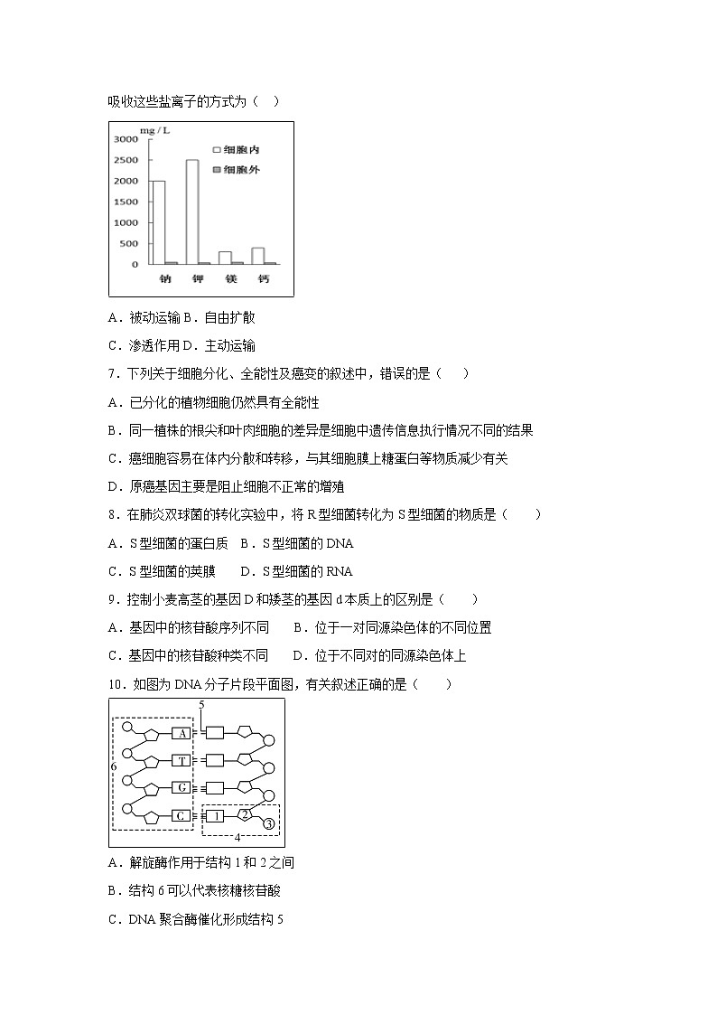 【生物】广东省蕉岭县蕉岭中学2018-2019学年高二下学期第一次质检试题（解析版）02