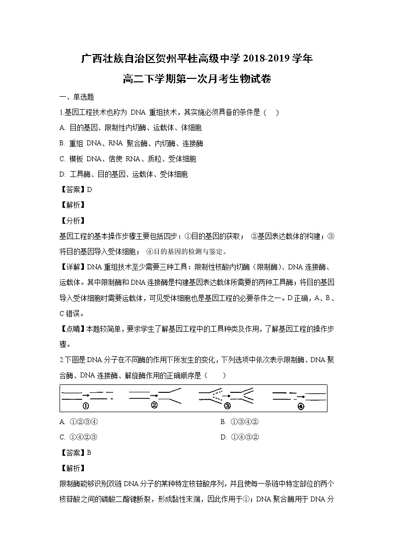 【生物】广西壮族自治区贺州平桂高级中学2018-2019学年高二下学期第一次月考试卷 （解析版）01