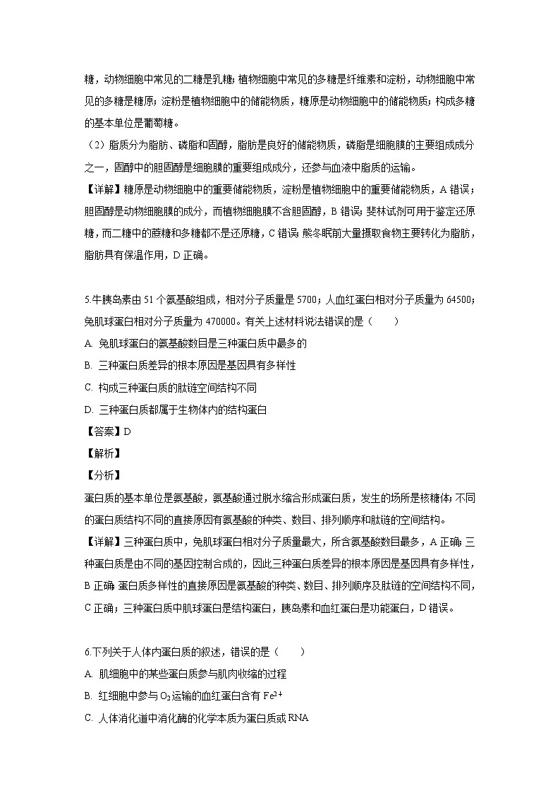 【生物】广西南宁市第三中学、柳州市高级中学2018-2019学年高二下学期第三次月考试卷（解析版）03