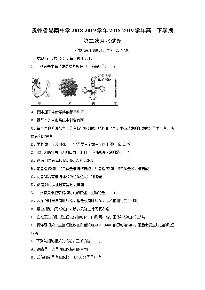 【生物】贵州省思南中学2018-2019学年2018-2019学年高二下学期第二次月考试题01