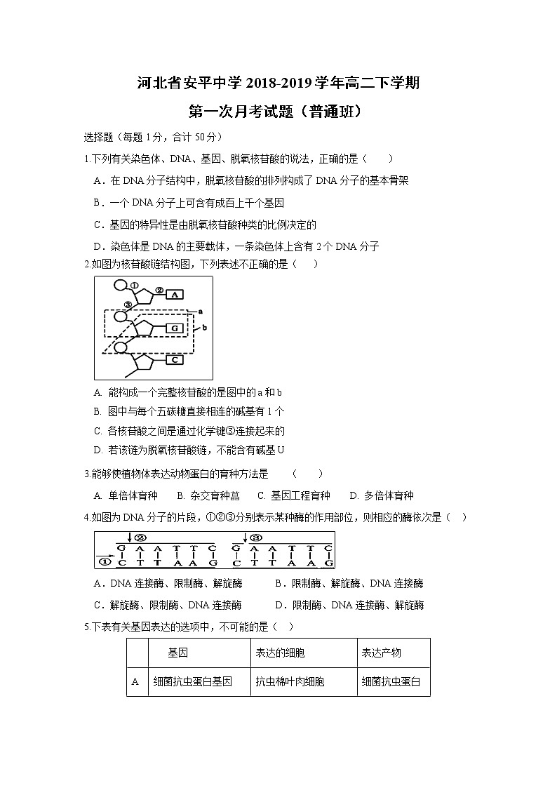 【生物】河北省安平中学2018-2019学年高二下学期第一次月考试题（普通班）01