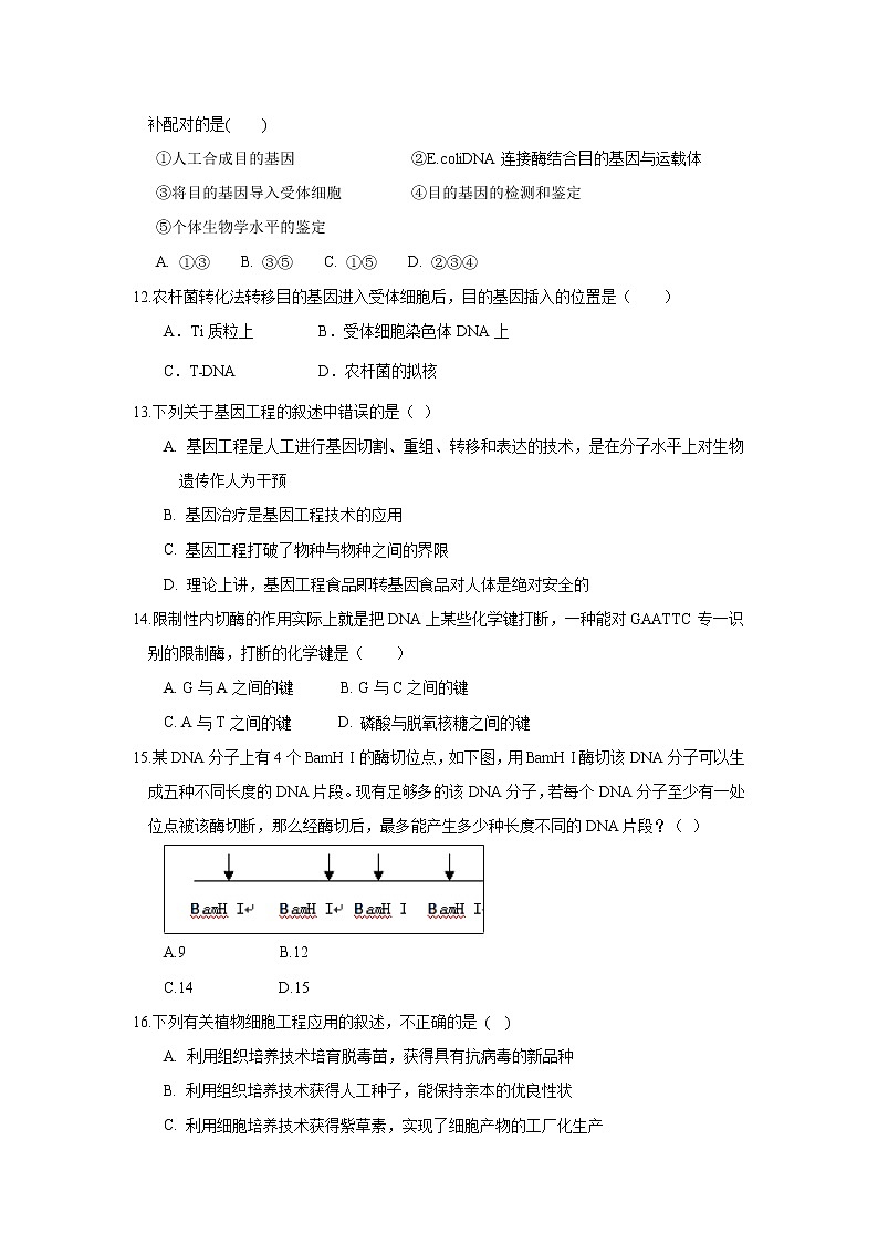 【生物】河北省安平中学2018-2019学年高二下学期第一次月考试题（普通班）03