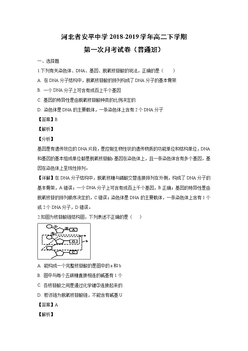 【生物】河北省安平中学2018-2019学年高二下学期第一次月考试卷（普通班） （解析版）01