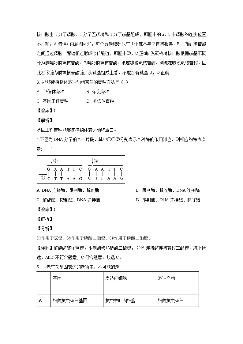 【生物】河北省安平中学2018-2019学年高二下学期第一次月考试卷（普通班） （解析版）02