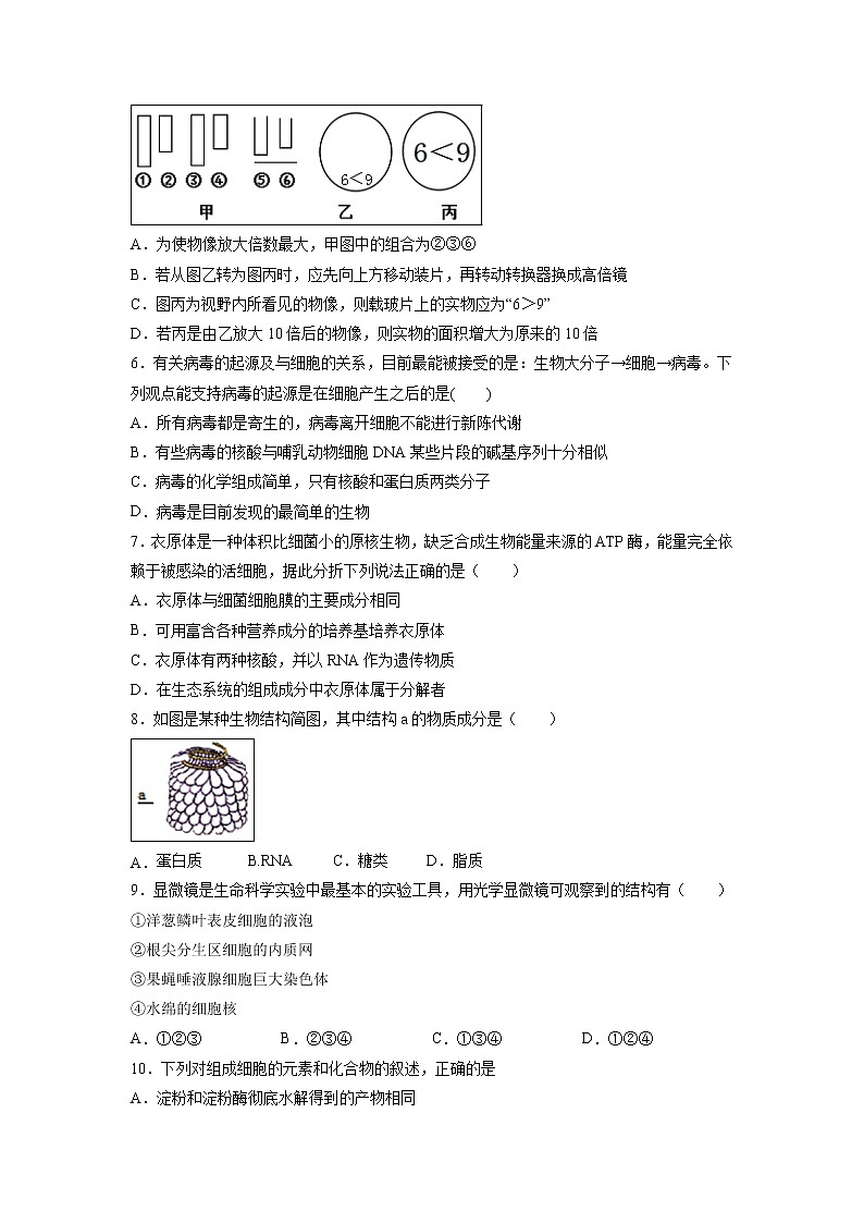 【生物】河北省大名县第一中学2018-2019学年高二下学期6月周考试题02