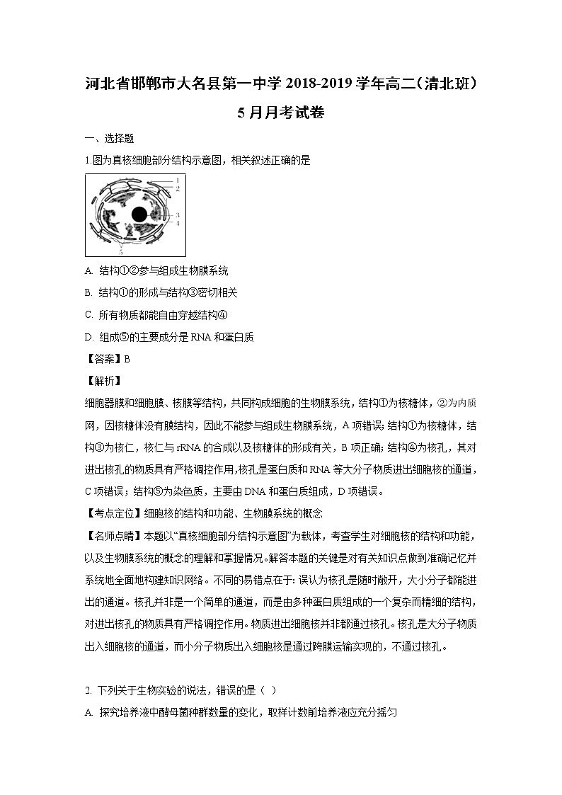 【生物】河北省邯郸市大名县第一中学2018-2019学年高二（清北班）5月月考试卷 （解析版）01