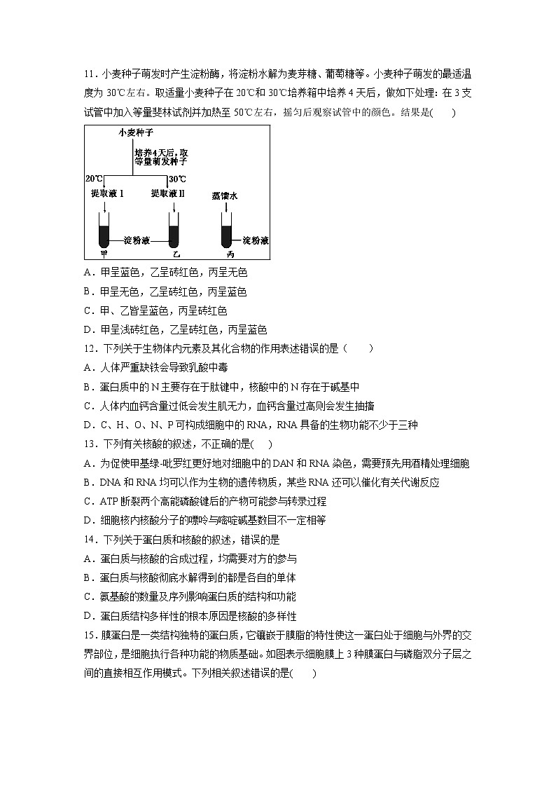 【生物】河北省邯郸大名一中2018-2019高二6月月考试卷03