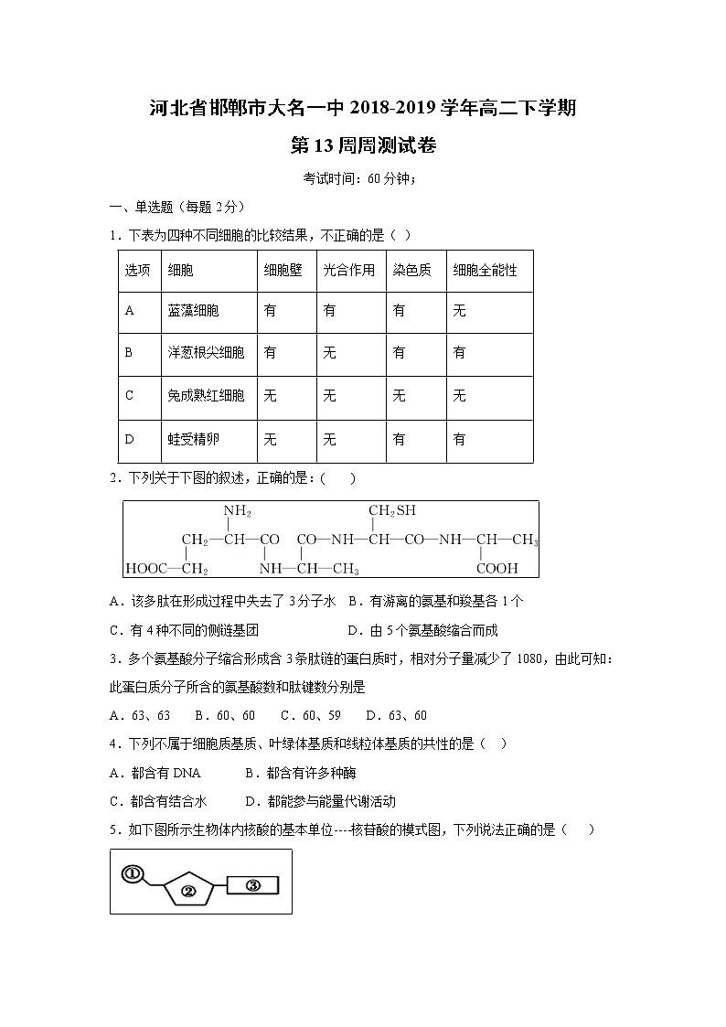 【生物】河北省邯郸市大名一中2018-2019学年高二下学期第13周周测试卷01