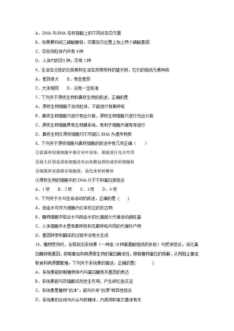 【生物】河北省邯郸市大名一中2018-2019学年高二下学期第13周周测试卷02