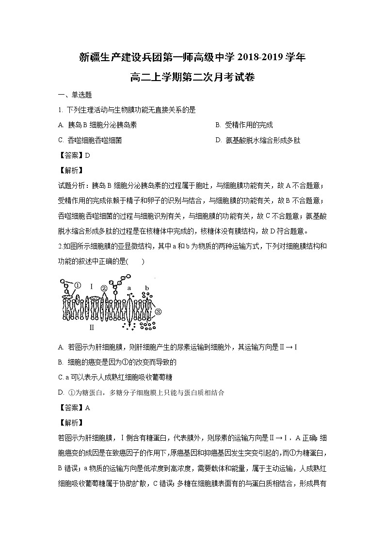 【生物】新疆生产建设兵团第一师高级中学2018-2019学年高二上学期第二次月考试卷（解析版）第1页