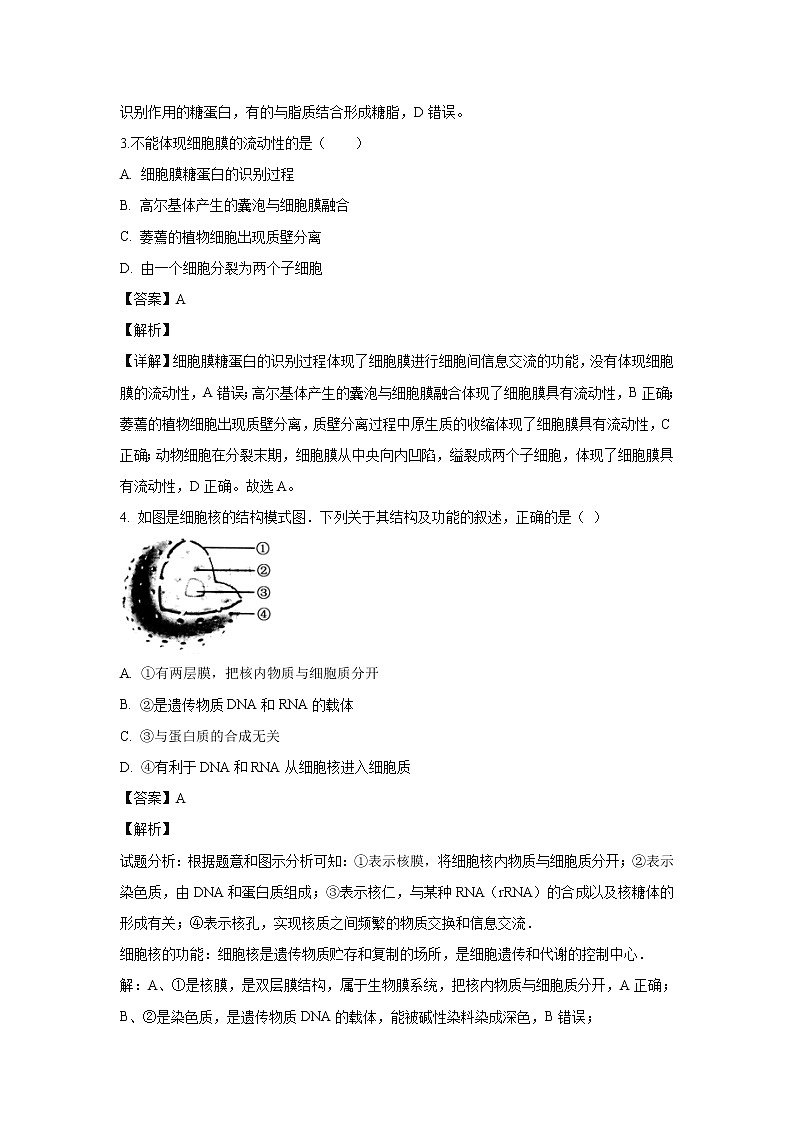 【生物】新疆生产建设兵团第一师高级中学2018-2019学年高二上学期第二次月考试卷（解析版）第2页