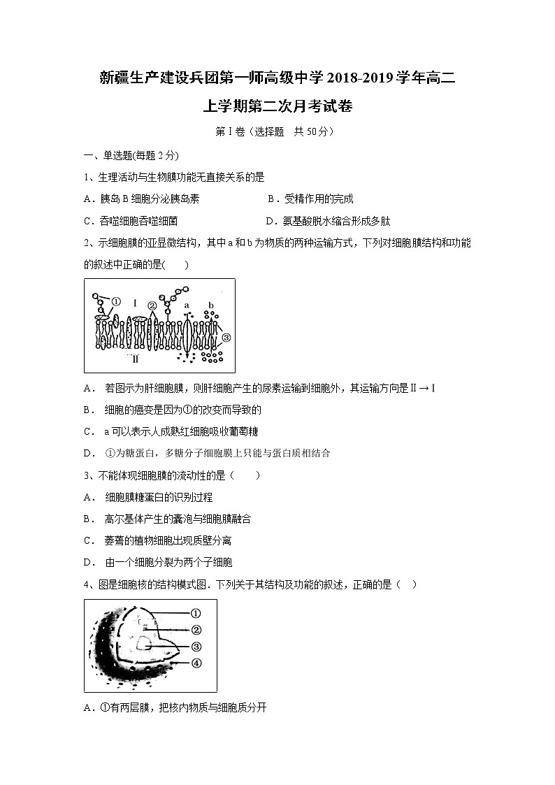 【生物】新疆生产建设兵团第一师高级中学2018-2019学年高二上学期第二次月考试卷01