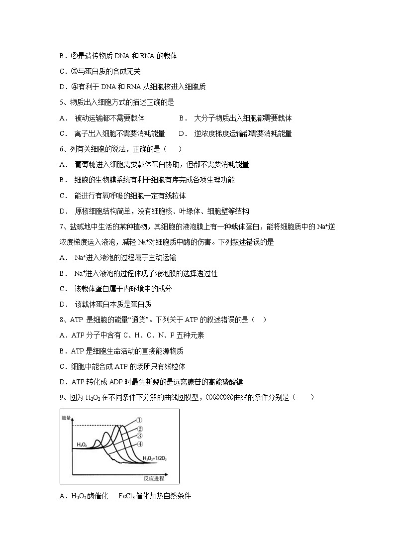 【生物】新疆生产建设兵团第一师高级中学2018-2019学年高二上学期第二次月考试卷02