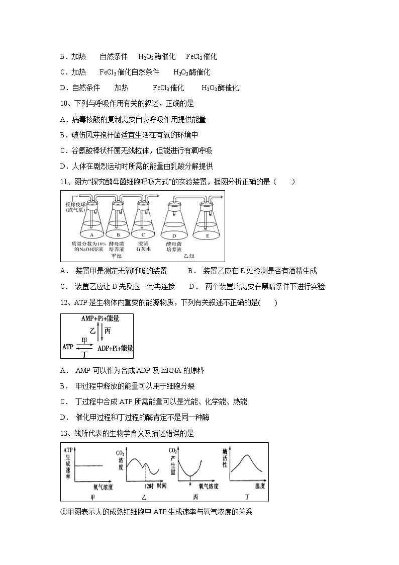 【生物】新疆生产建设兵团第一师高级中学2018-2019学年高二上学期第二次月考试卷03