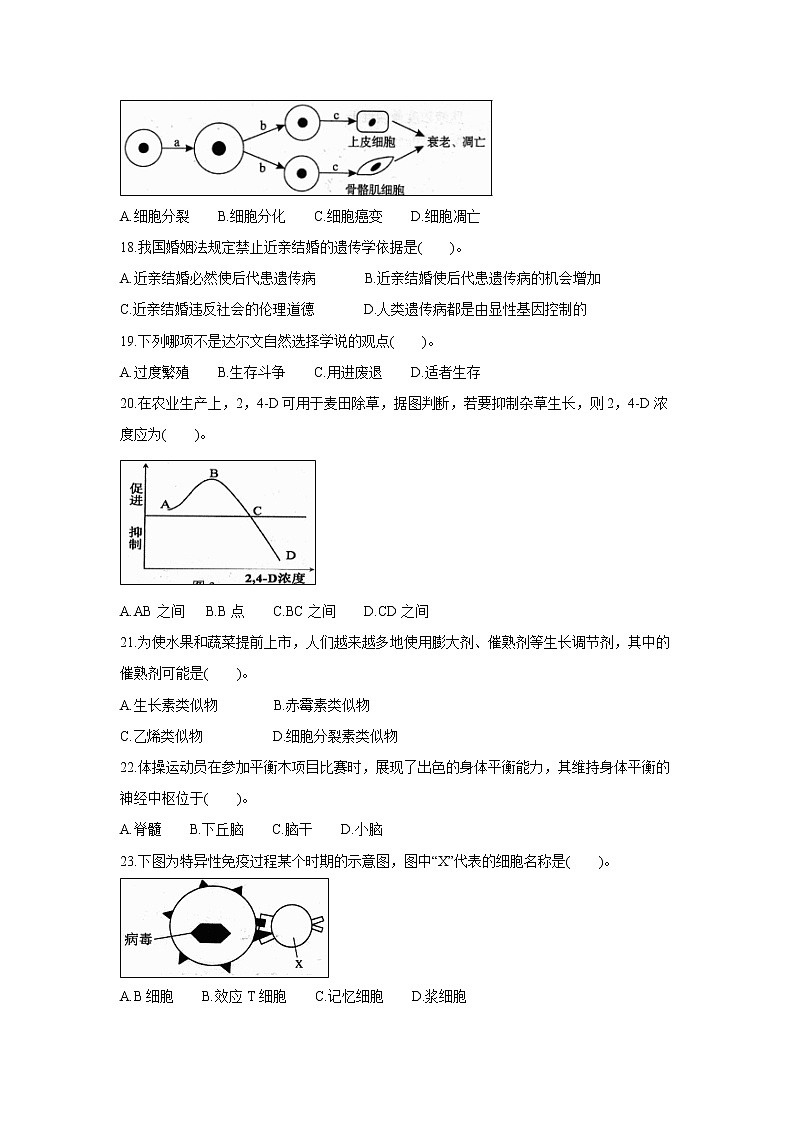 【生物】云南省昆明市黄冈实验学校2018-2019学年高二上学期第四次月考试题03