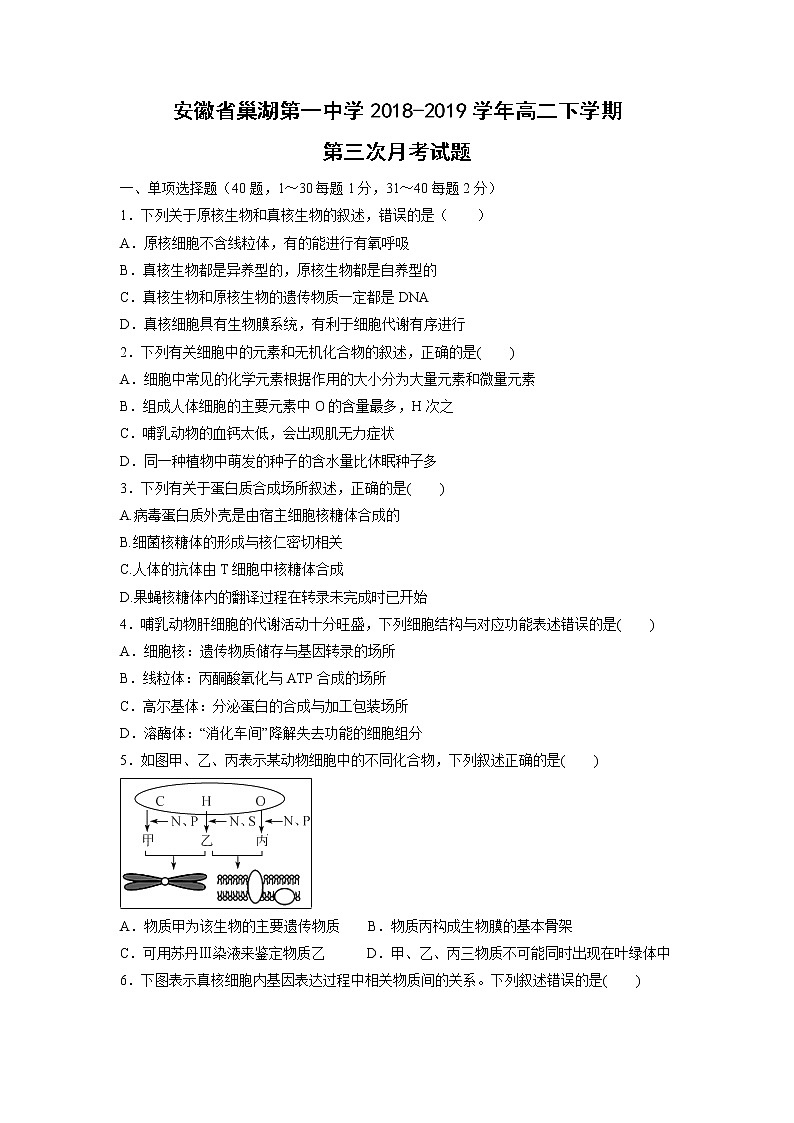 【生物】安徽省巢湖第一中学2018-2019学年高二下学期第三次月考试题第1页