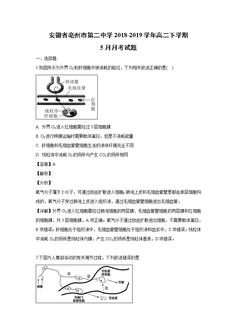 【生物】安徽省亳州市第二中学2018-2019学年高二下学期5月月考试题 （解析版）01