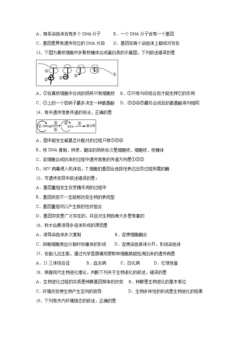 【生物】甘肃省武威市第六中学2018-2019学年高二下学期第三次学段考试试题03