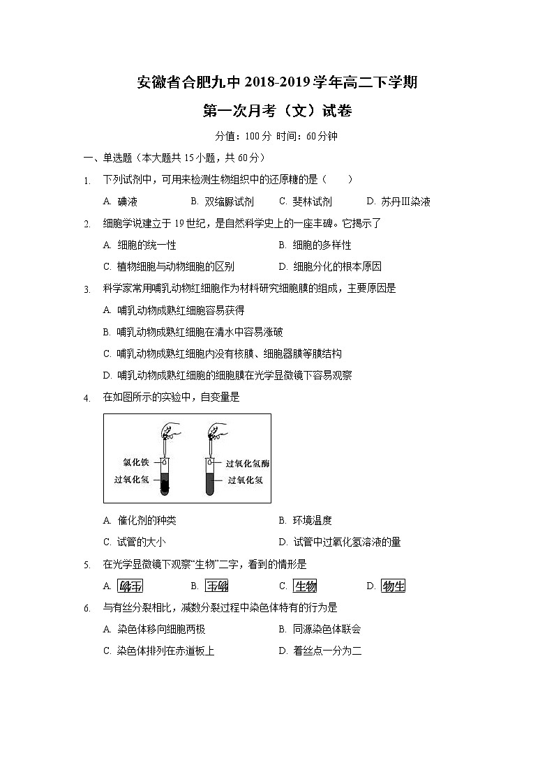 【生物】安徽省合肥九中2018-2019学年高二下学期第一次月考（文）试卷第1页
