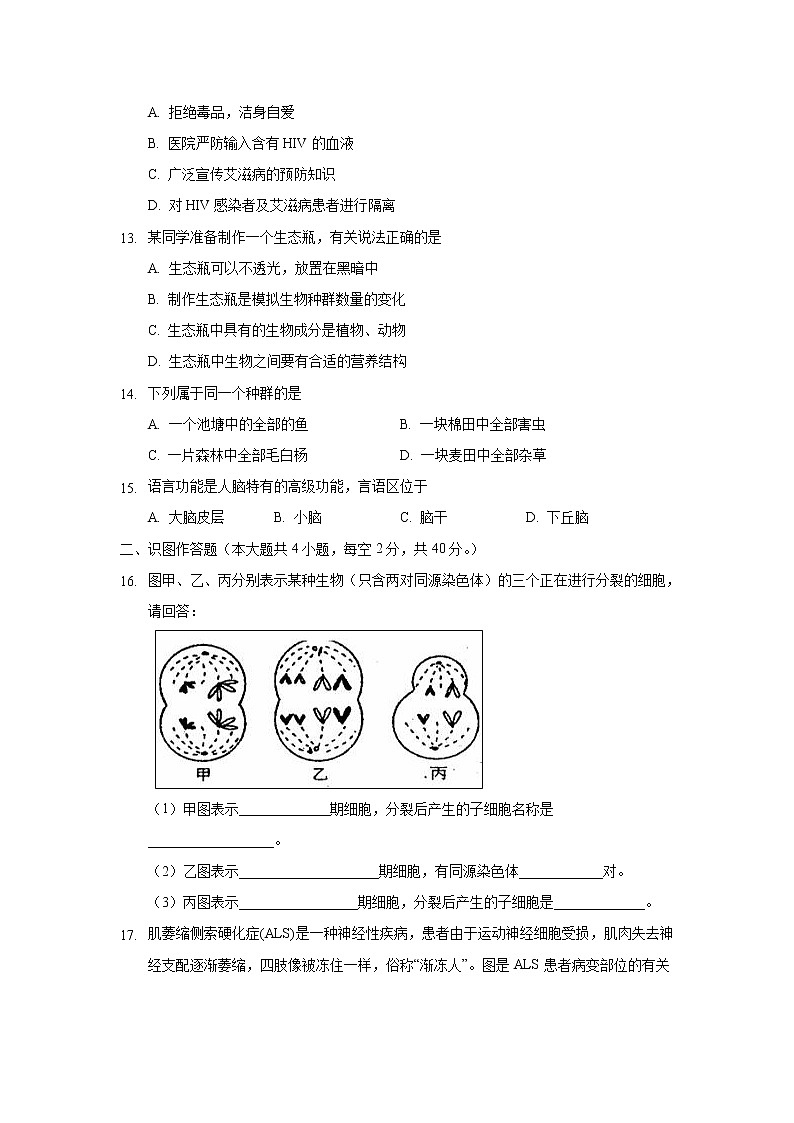 【生物】安徽省合肥九中2018-2019学年高二下学期第一次月考（文）试卷第3页