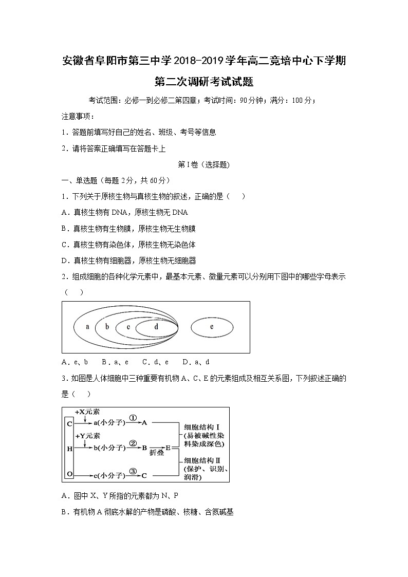 【生物】安徽省阜阳市第三中学2018-2019学年高二竞培中心下学期第二次调研考试试题（解析版）01