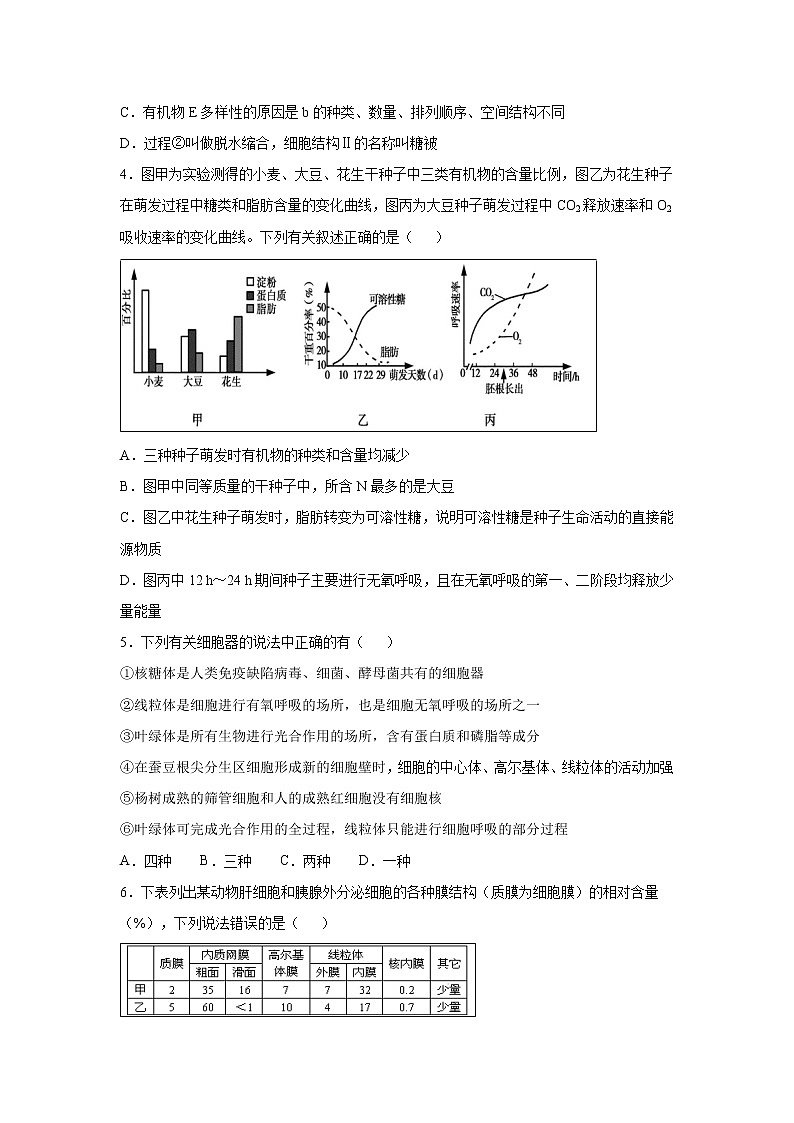 【生物】安徽省阜阳市第三中学2018-2019学年高二竞培中心下学期第二次调研考试试题（解析版）02