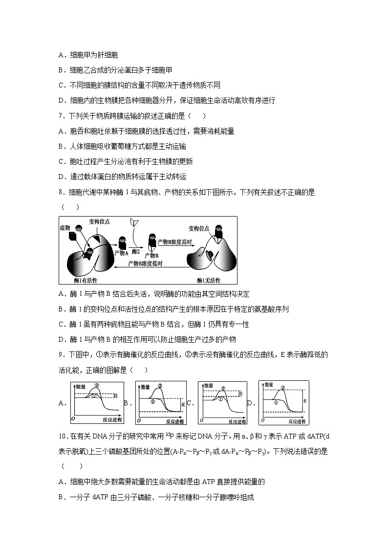 【生物】安徽省阜阳市第三中学2018-2019学年高二竞培中心下学期第二次调研考试试题（解析版）03