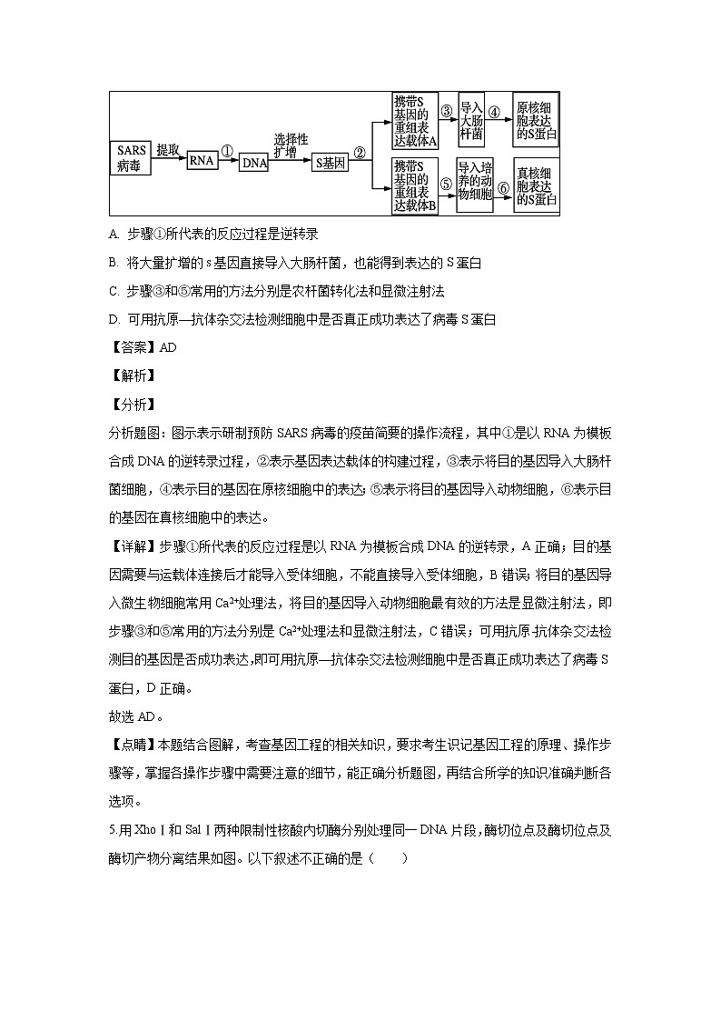 【生物】福建省厦门外国语学校2018-2019学年高二下学期第一次月考试题（解析版）03