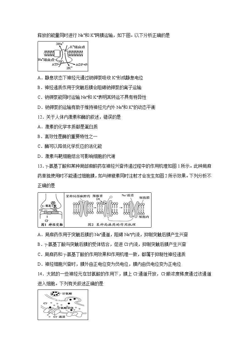 【生物】甘肃省兰州一中2018-2019学年高二下学期3月月考试卷03