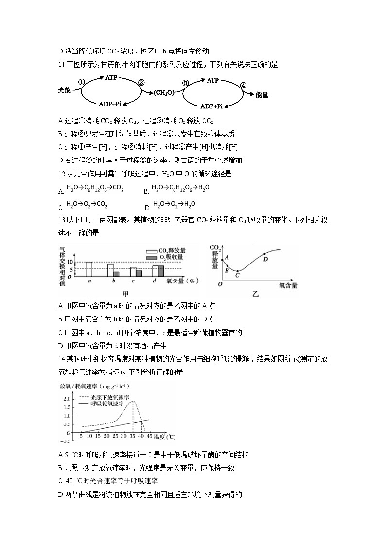 【生物】内蒙古赤峰二中2018-2019学年高二上学期第二次月考试题03