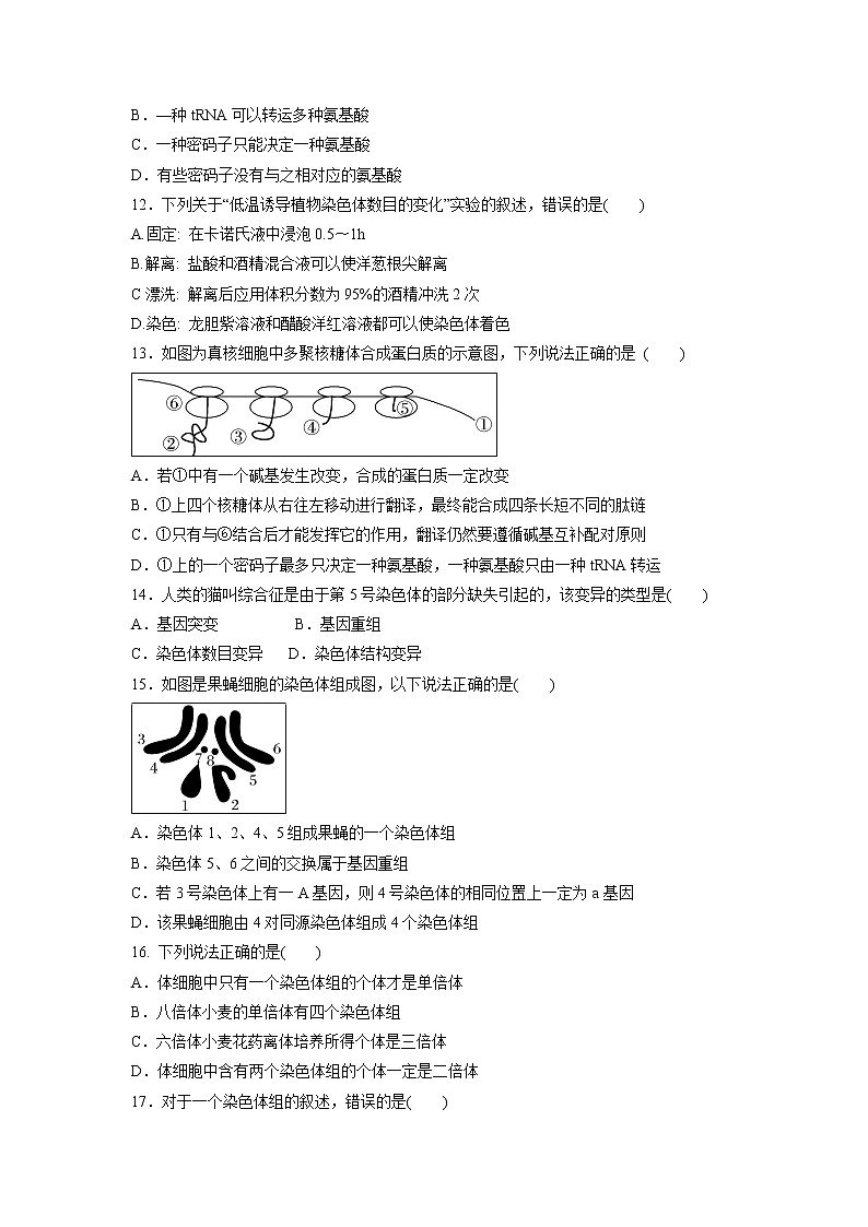 【生物】内蒙古杭锦后旗奋斗中学2018-2019学年高二上学期第一次月考试题03