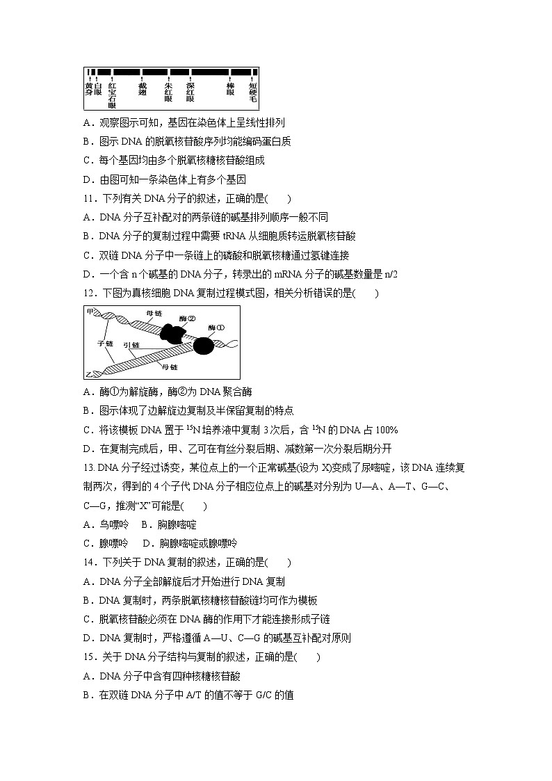 【生物】内蒙古通辽实验中学2018-2019学年高二上学期第一次月考试题03