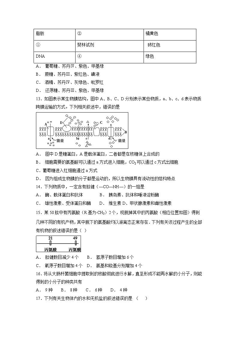 【生物】宁夏青铜峡市高级中学2018-2019学年高二上学期第一次月考试题第3页