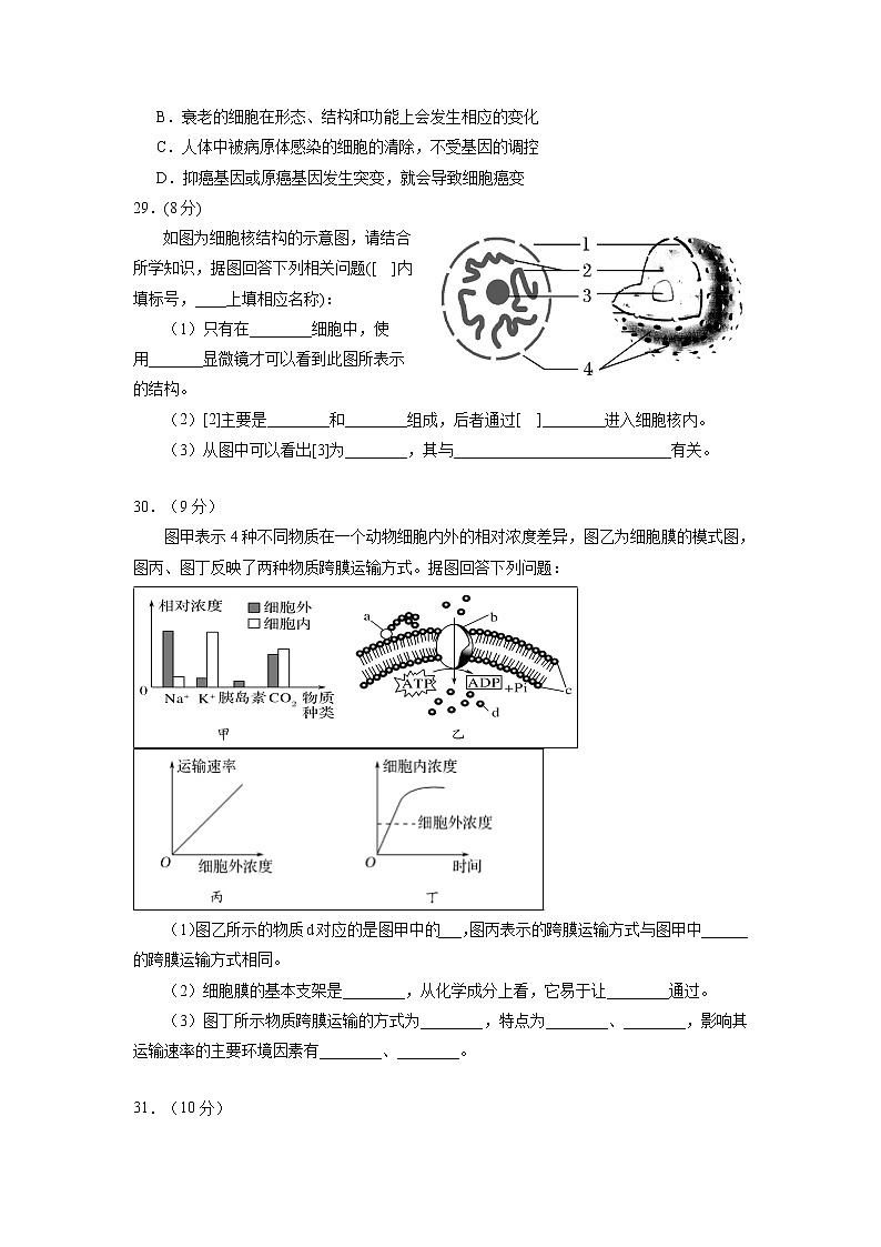 【生物】宁夏银川一中2018-2019学年高二12月阶段性测试理综生物试题第2页