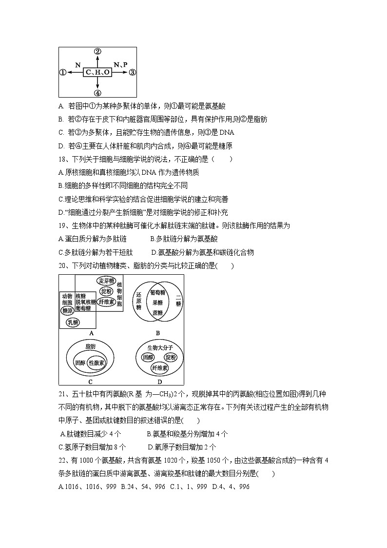 【生物】宁夏育才中学2018-2019学年高二上学期第一次（9月）月考试题第3页