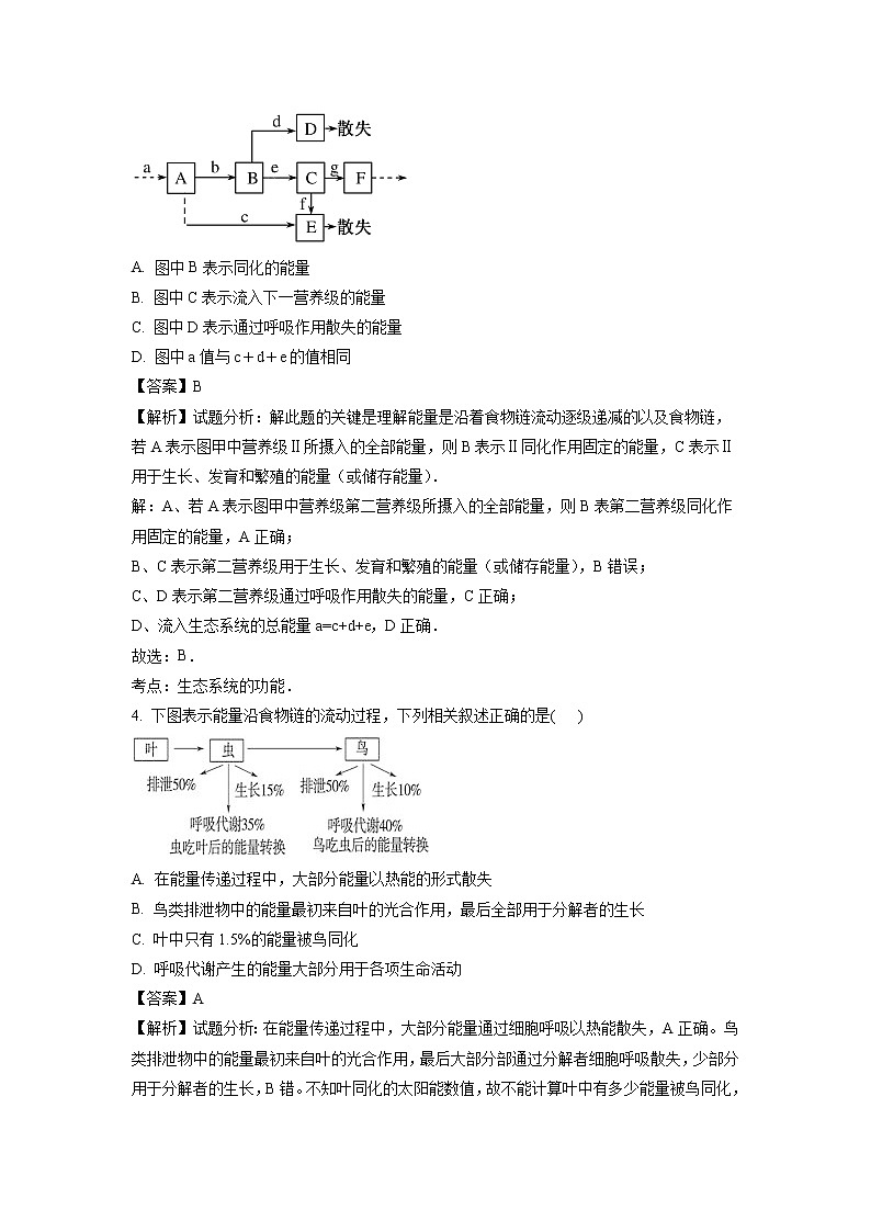 【生物】山东省北镇中学2018-2019学年高二上学期第二次月考试卷（解析版）02