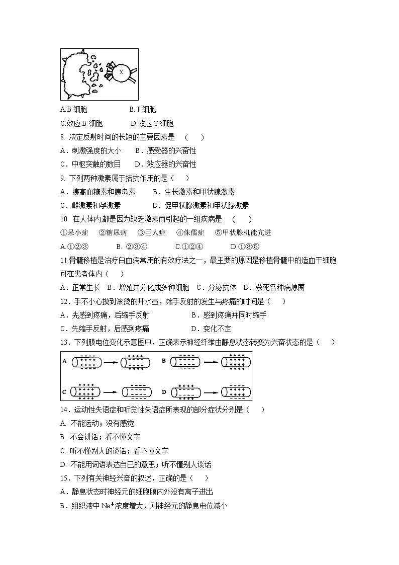 【生物】山东省泰安第一中学2018-2019学年高二10月学情检测试题02