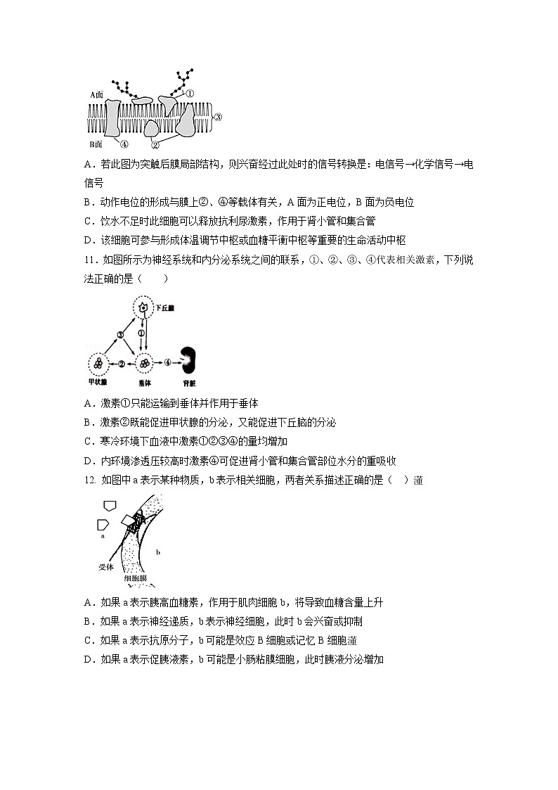 【生物】山东省济南外国语学校2018-2019学年高二上学期第二次（12月）月考试题03