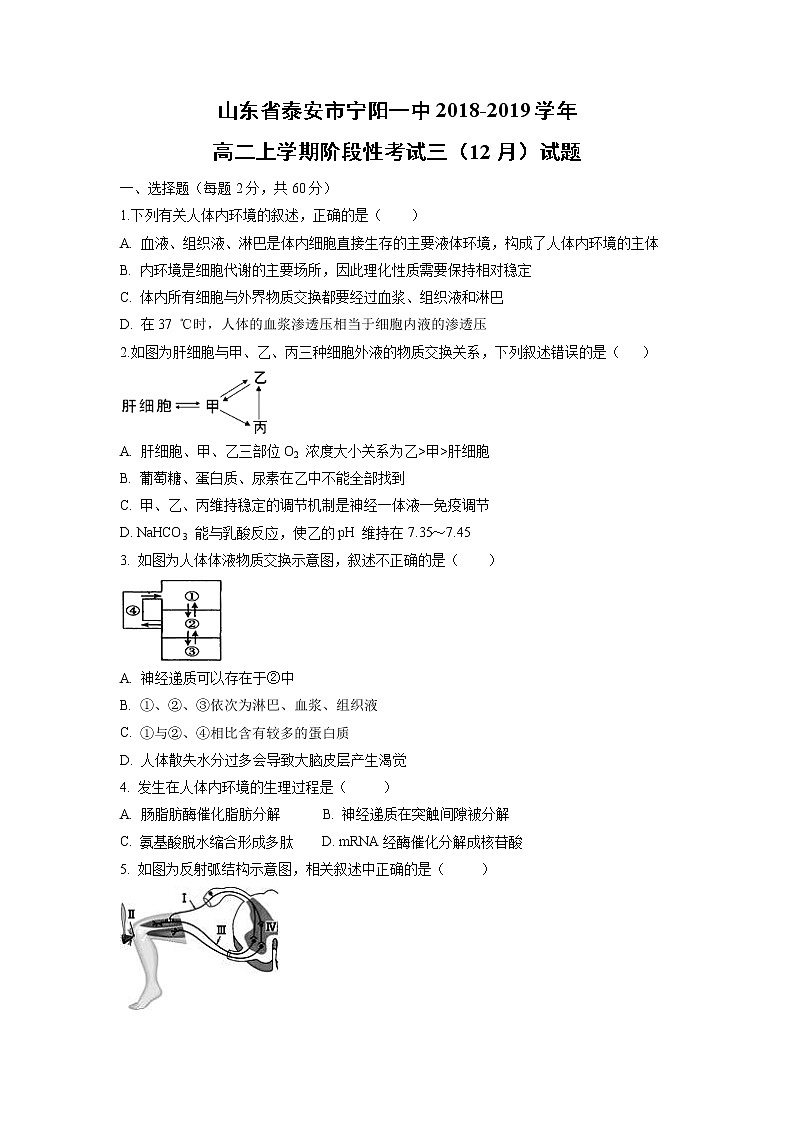 【生物】山东省泰安市宁阳一中2018-2019学年高二上学期阶段性考试三（12月）试题01