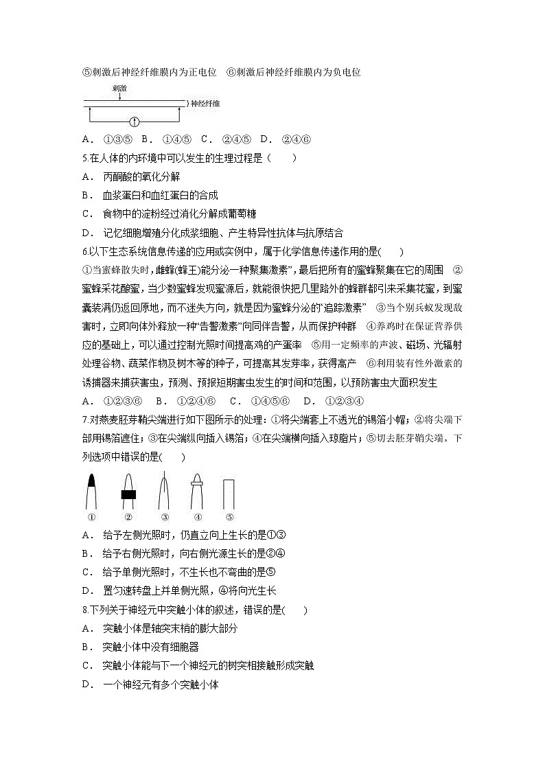 【生物】云南省文山州马关县第一中学2018-2019学年高二上学期10月月考试题02