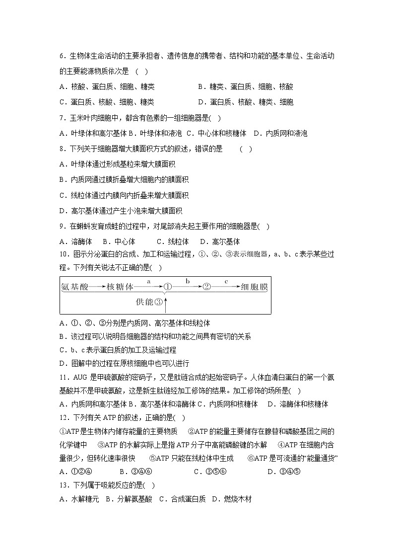 【生物】浙江省临海市白云高级中学2018-2019学年高二上学期第一次月考试题第2页