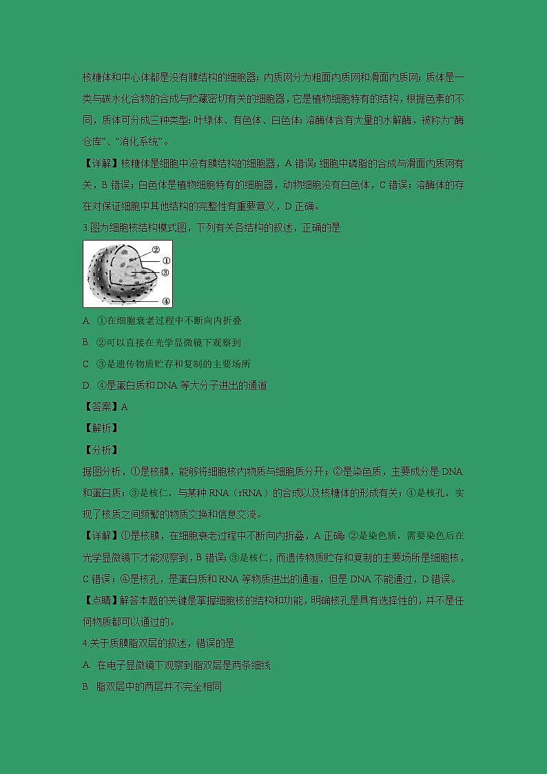 【生物】浙江省台州中学2018-2019学年高二上学期第二次统练试题（解析版）02