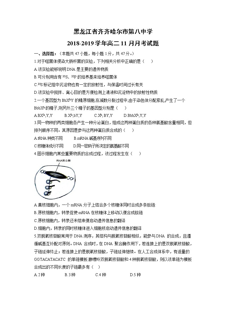 【生物】黑龙江省齐齐哈尔市第八中学2018-2019学年高二11月月考试题01