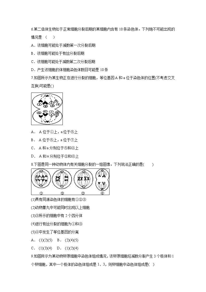 【生物】河南省中牟县第一高级中学2018-2019学年高二上学期第十次双周考试卷02