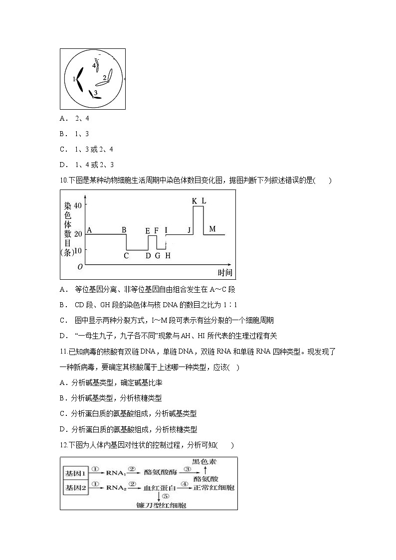 【生物】河南省中牟县第一高级中学2018-2019学年高二上学期第十次双周考试卷03