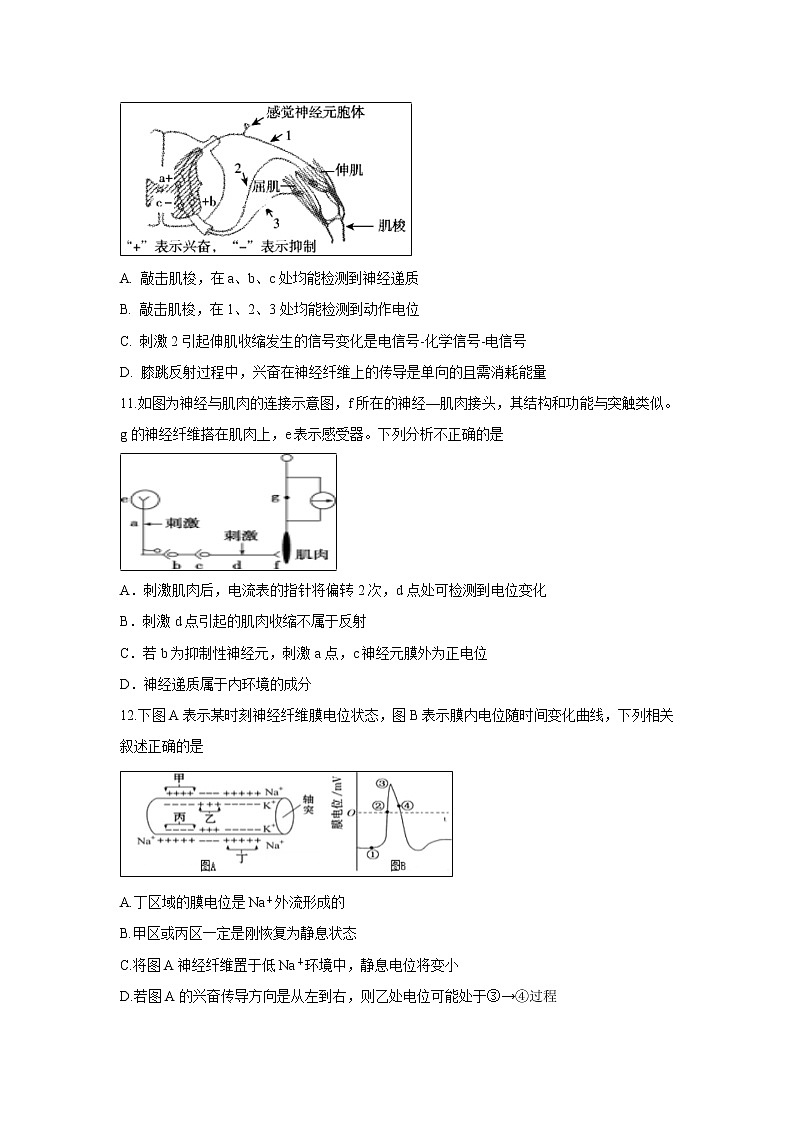 【生物】湖北省黄冈市2018-2019学年高二上学期月考试卷03