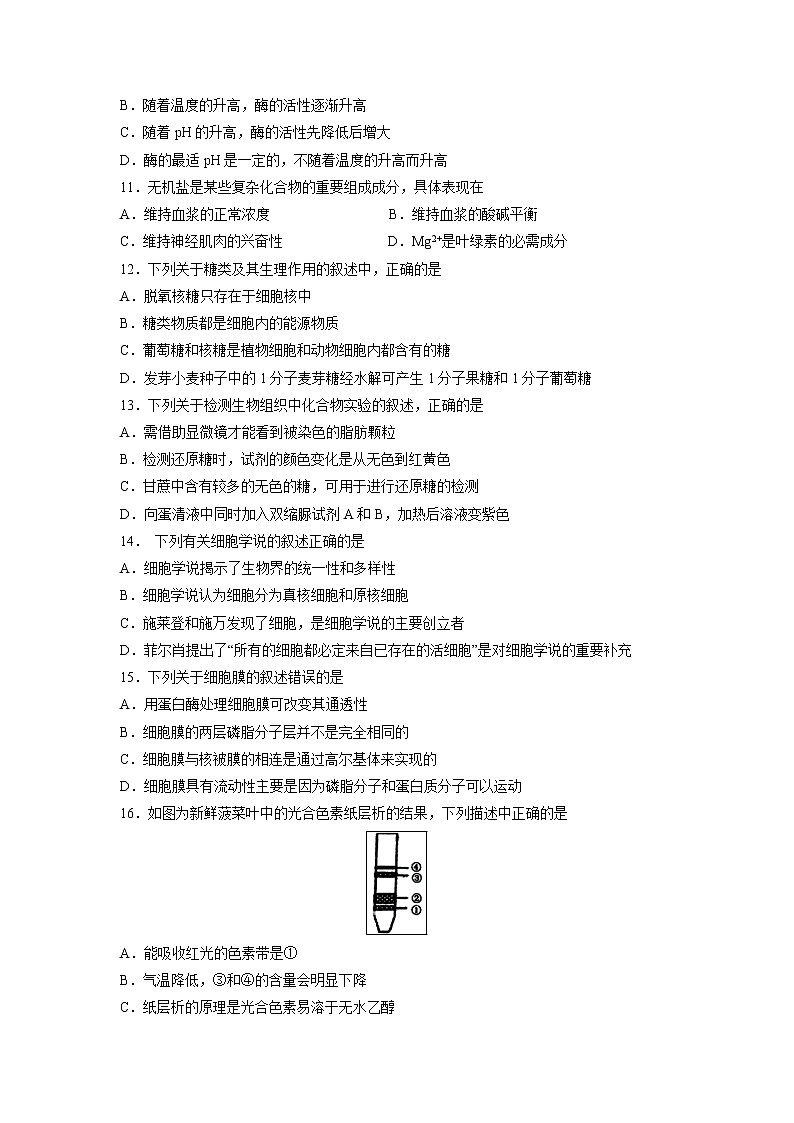 【生物】湖北省利川市第五中学2018-2019学年高二9月月考试卷第3页
