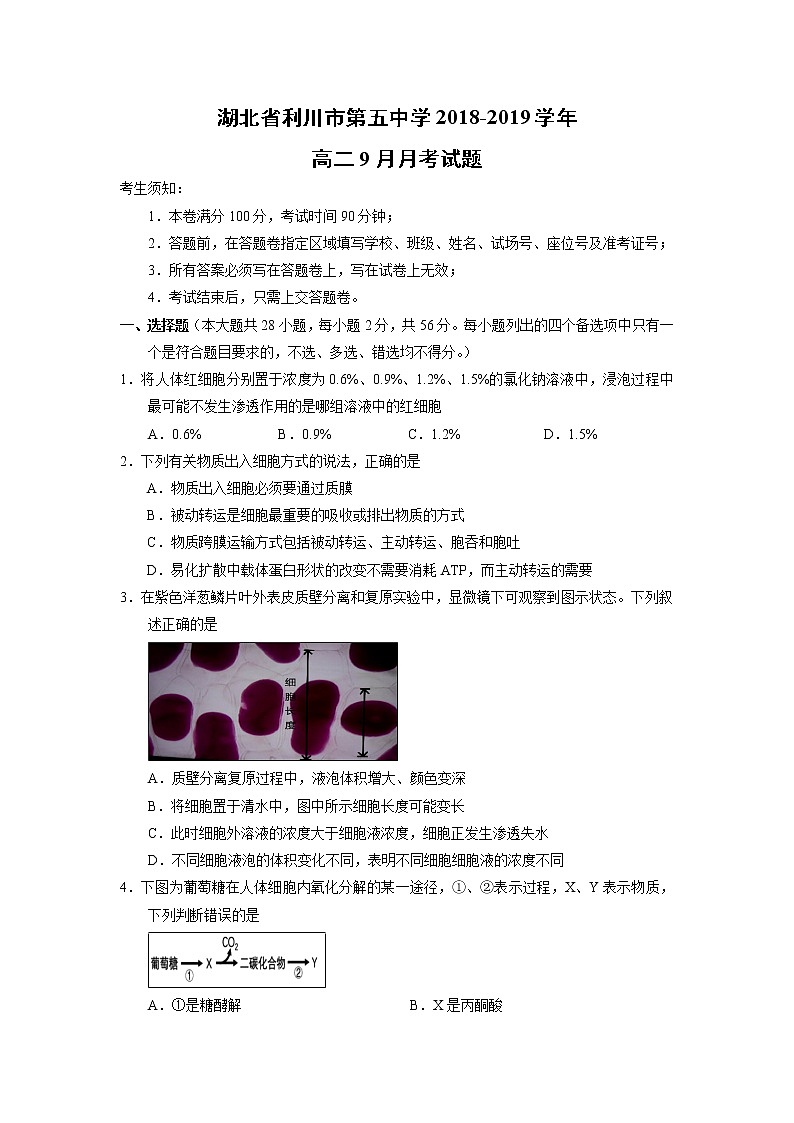 【生物】湖北省利川市第五中学2018-2019学年高二9月月考试题01